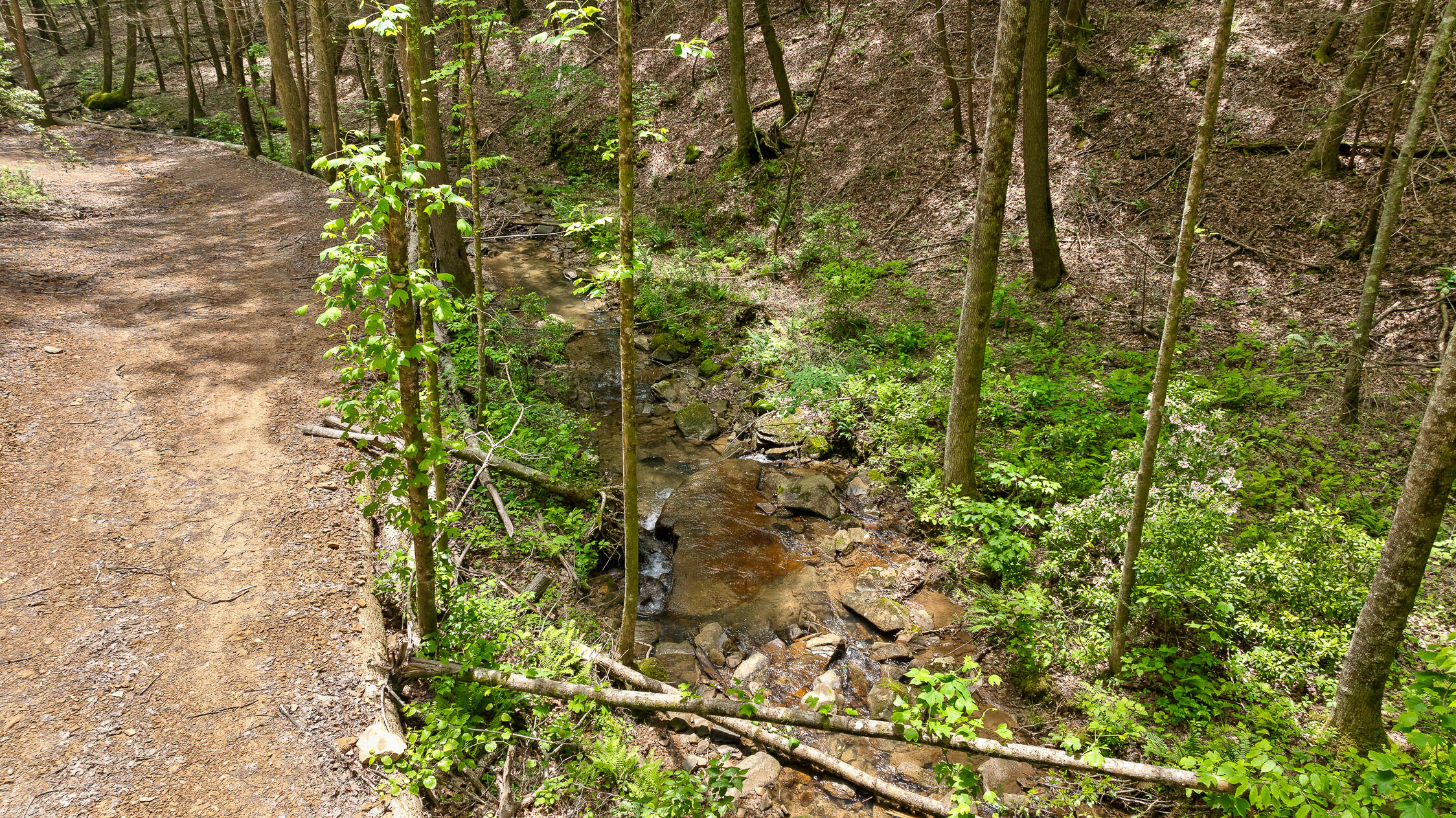 Dandy Road #LOT 13  14, Signal Mountain, Tennessee image 28