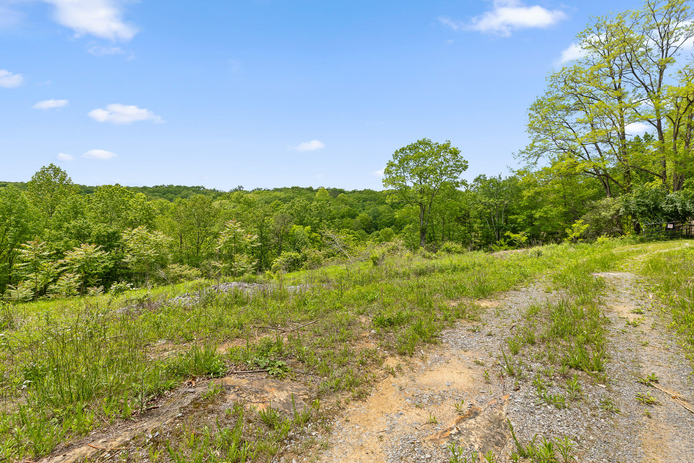 Dandy Road #LOT 13  14, Signal Mountain, Tennessee image 5