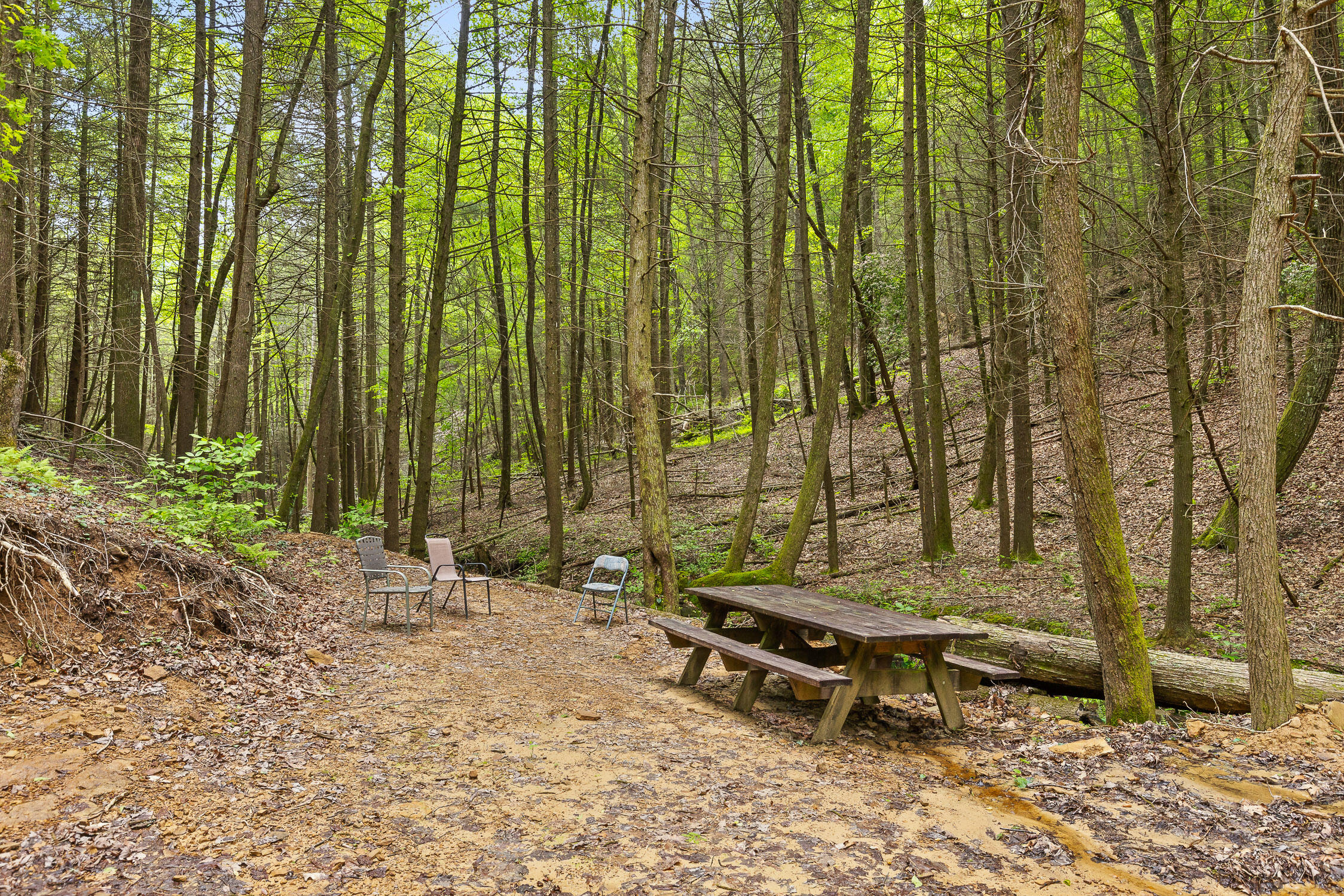 Dandy Road #LOT 13  14, Signal Mountain, Tennessee image 22