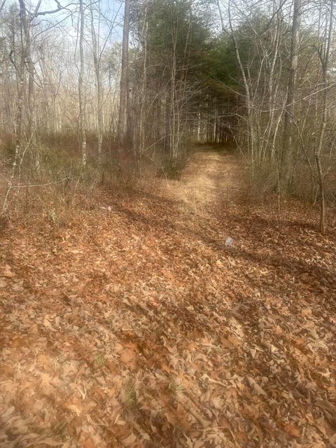 Photo of 1 Snyder Loop, Graysville, TN 37338 (MLS # 1528174)