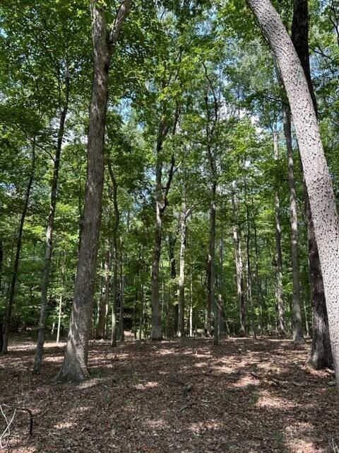 Photo of Tract 1 Eagle Rock Road, Monteagle, TN 37356 (MLS # 1503576)
