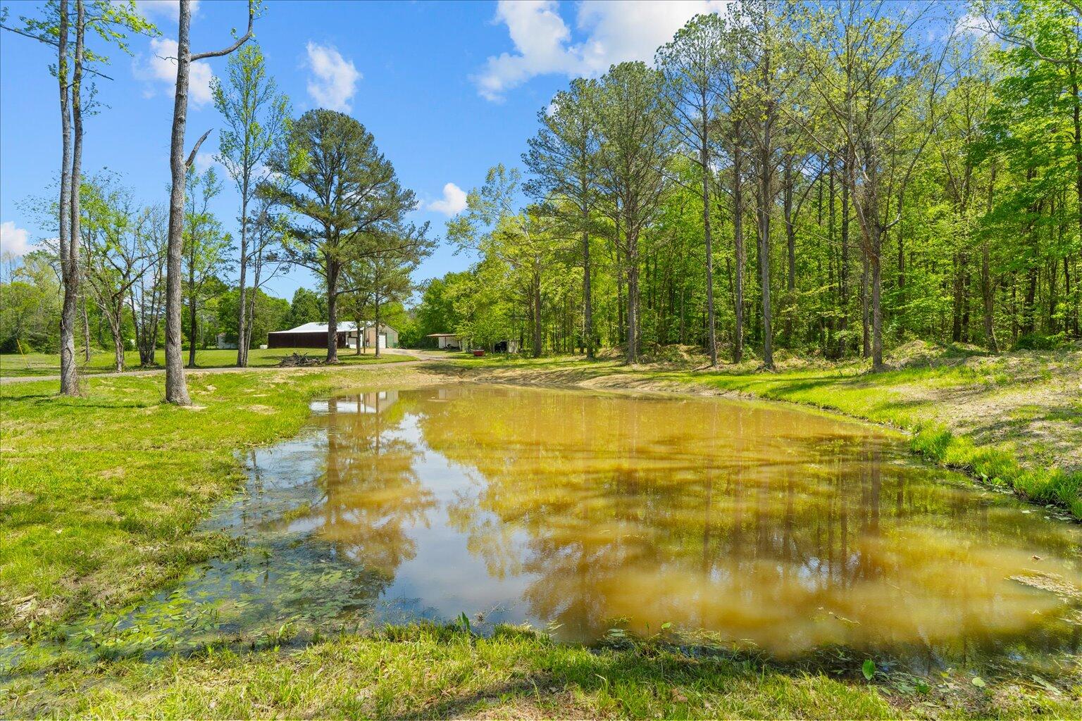 398 G H Lowery Road, Chatsworth, Georgia image 46