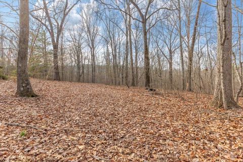 Vacant Land For Sale - 13 AC Percheron Drive<br/> Whitfield County, Dalton, GA 30720