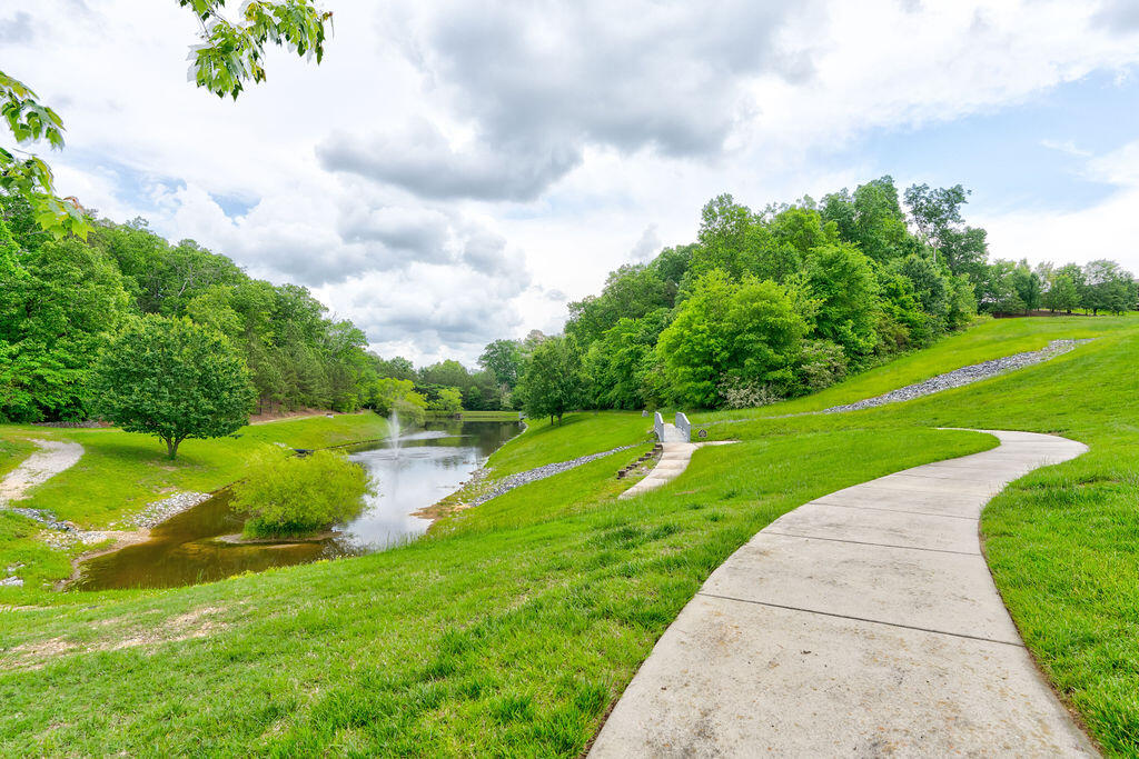 105 Hillhouse Lane, Ringgold, Georgia image 34
