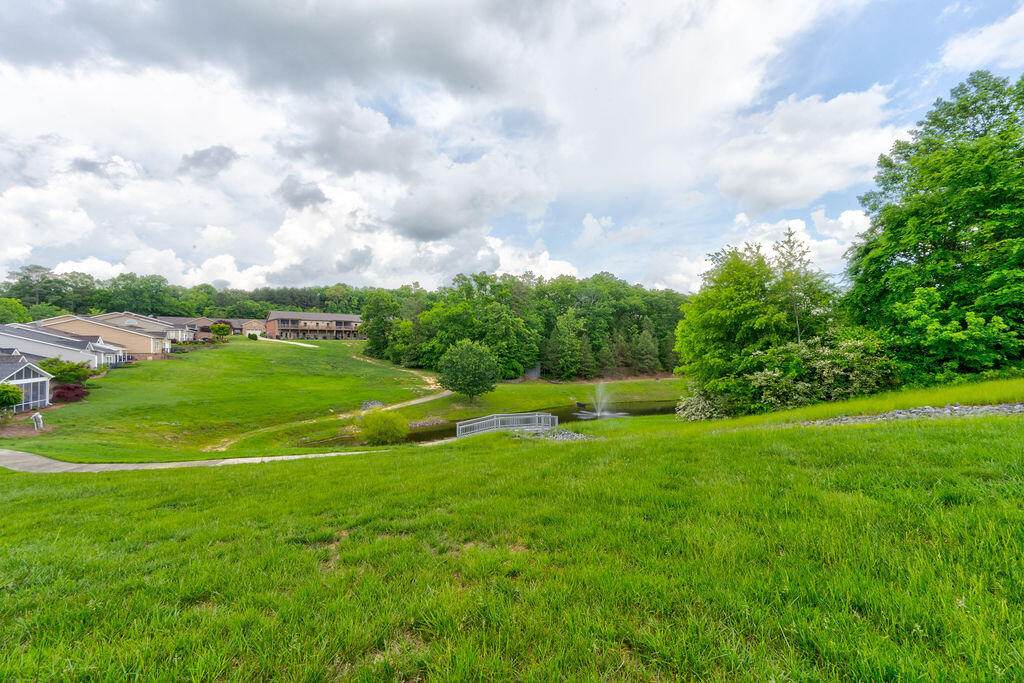 105 Hillhouse Lane, Ringgold, Georgia image 35
