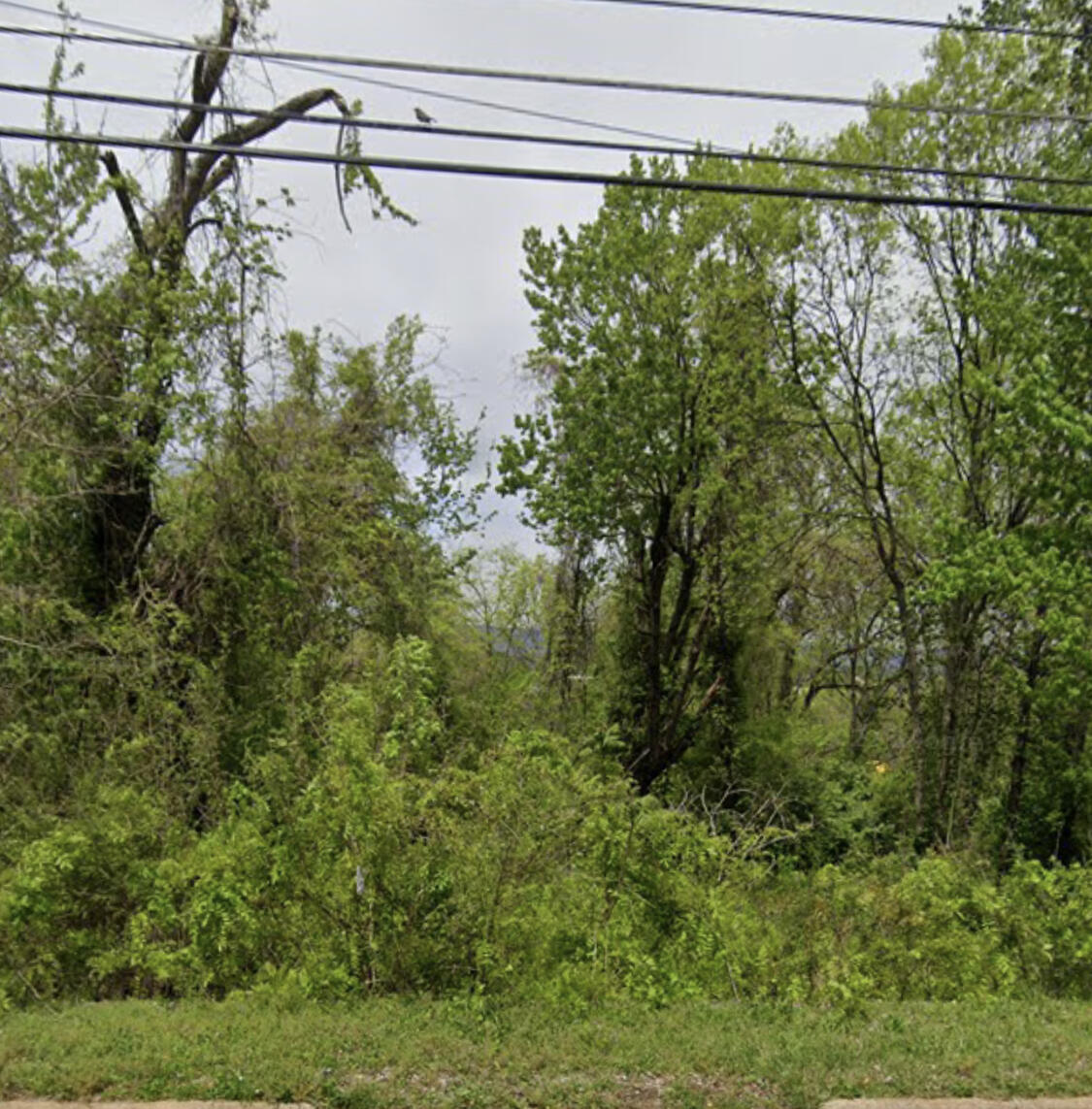 3529 Dodson Avenue, Chattanooga, Tennessee image 1