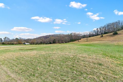 Tiny photo for Lot 10 N Nopone Valley Road, Decatur, TN 37322 (MLS # 1530387)
