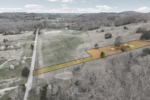 Photo of Lot 10 N Nopone Valley Road, Decatur, TN 37322 (MLS # 1530387)