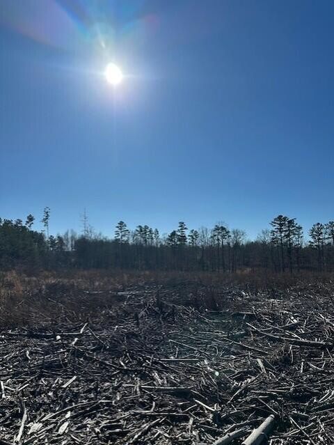 Photo of Tract 1 50th Avenue, Gruetli Laager, TN 37339 (MLS # 1526999)