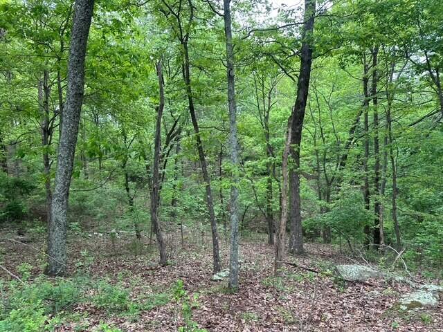 20 County Road 17 Dr, Woodville, Alabama image 1