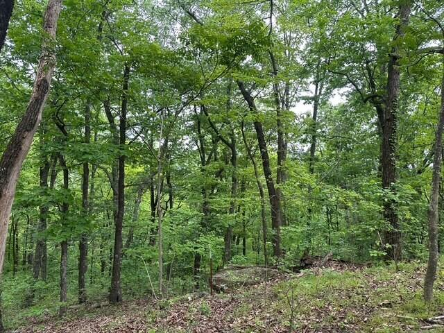 20 County Road 17 Dr, Woodville, Alabama image 2