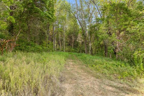 Tiny photo for 12 Sturgeon Creek Road, Cedar Hill, TN 37032 (MLS # 1527486)