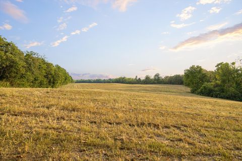 Tiny photo for 12 Sturgeon Creek Road, Cedar Hill, TN 37032 (MLS # 1527486)