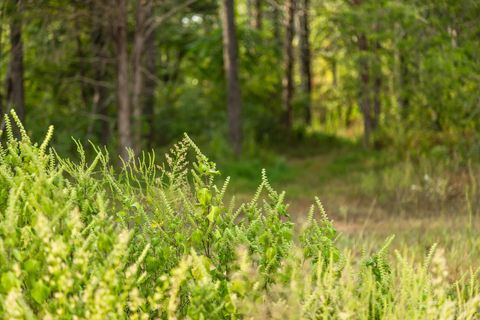 Tiny photo for 12 Sturgeon Creek Road, Cedar Hill, TN 37032 (MLS # 1527486)