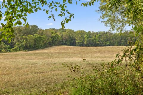 Tiny photo for 12 Sturgeon Creek Road, Cedar Hill, TN 37032 (MLS # 1527486)