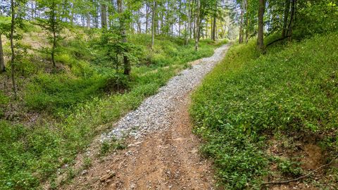 Tiny photo for 12 Sturgeon Creek Road, Cedar Hill, TN 37032 (MLS # 1527486)