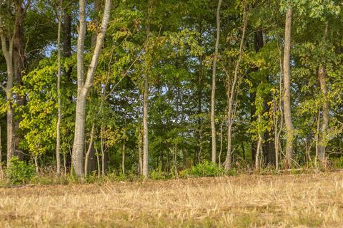 Tiny photo for 12 Sturgeon Creek Road, Cedar Hill, TN 37032 (MLS # 1527486)