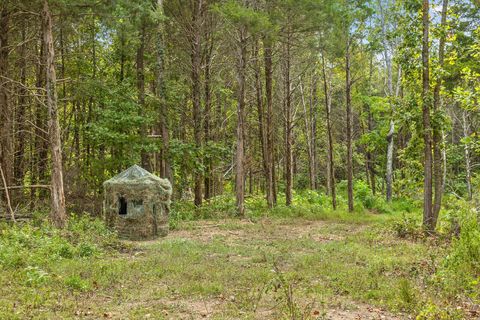 Tiny photo for 12 Sturgeon Creek Road, Cedar Hill, TN 37032 (MLS # 1527486)