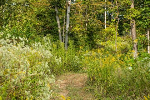 Tiny photo for 12 Sturgeon Creek Road, Cedar Hill, TN 37032 (MLS # 1527486)