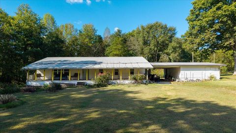 Photo of 389 Friendship Lane, Delano, TN 37325 (MLS # 1521626)