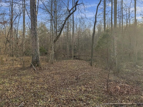 Vacant Land For Sale - Simmons Street<br/> Crossville, TN 38572