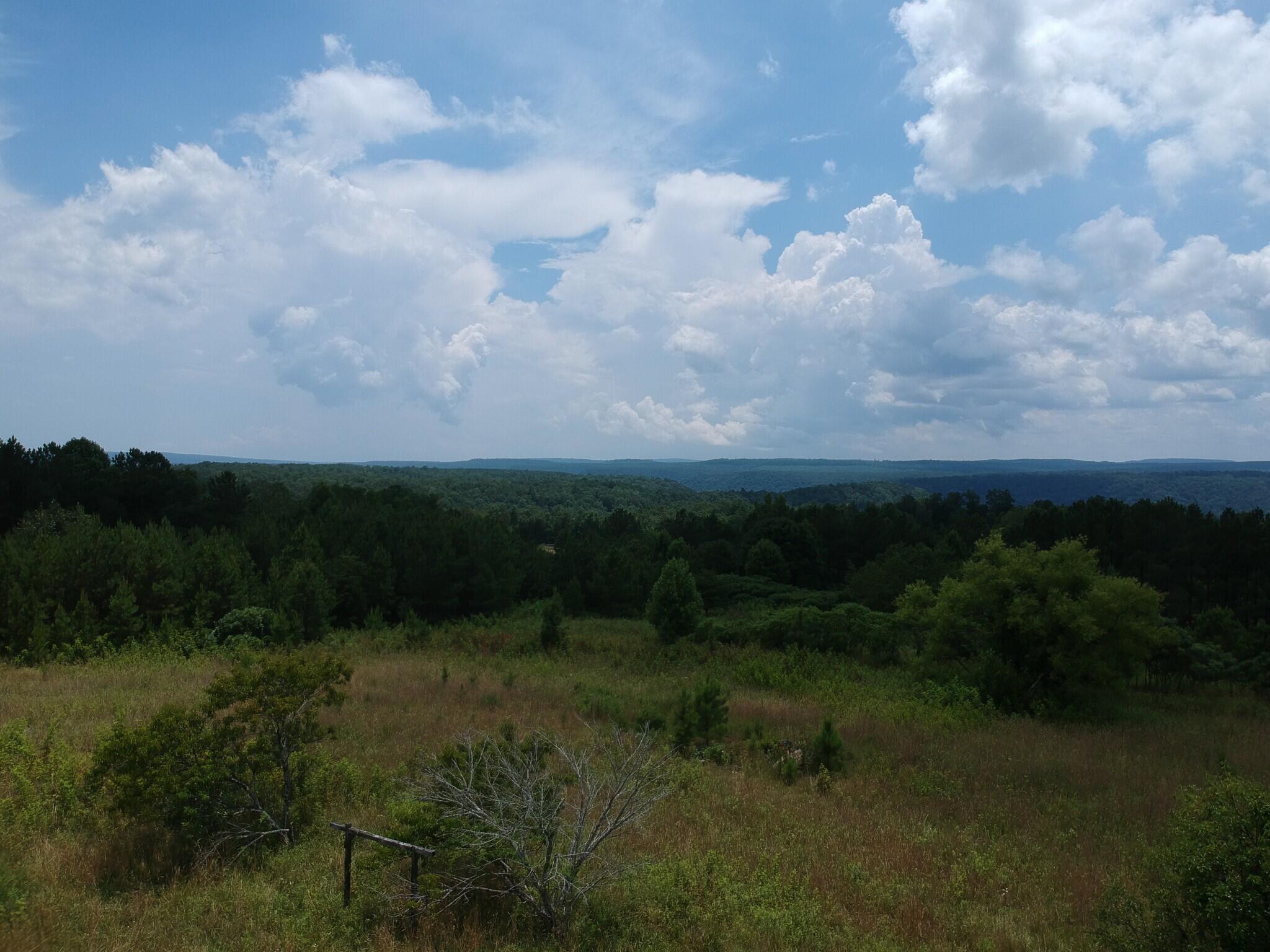 5199 Burkett Chapel Road, Whitwell, Tennessee image 9