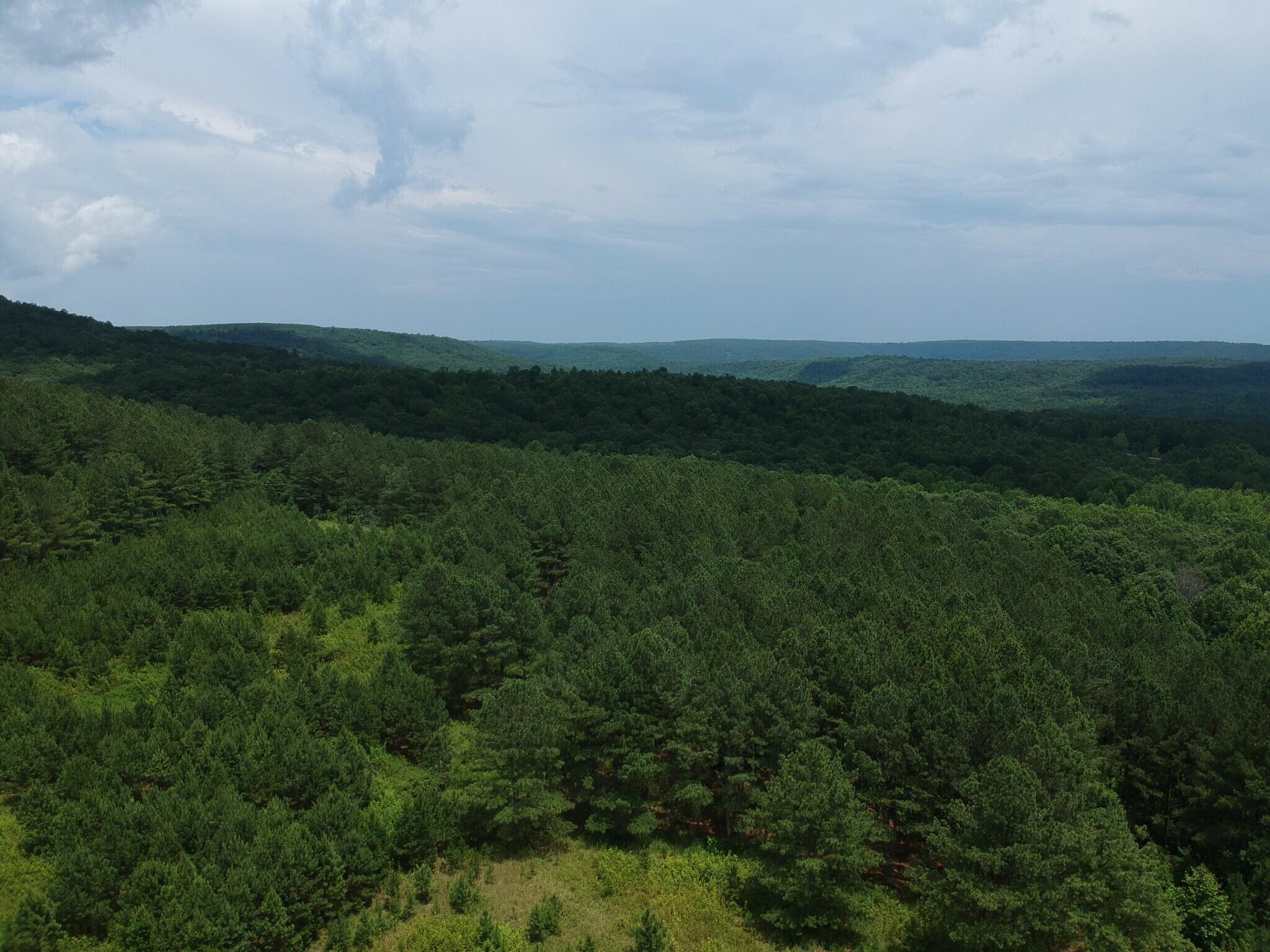 5199 Burkett Chapel Road, Whitwell, Tennessee image 18