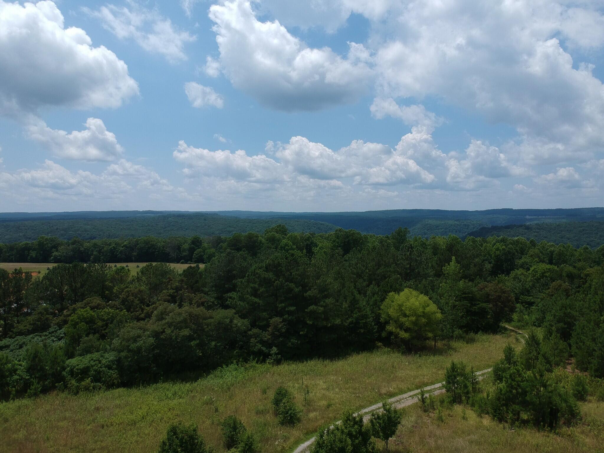 5199 Burkett Chapel Road, Whitwell, Tennessee image 12