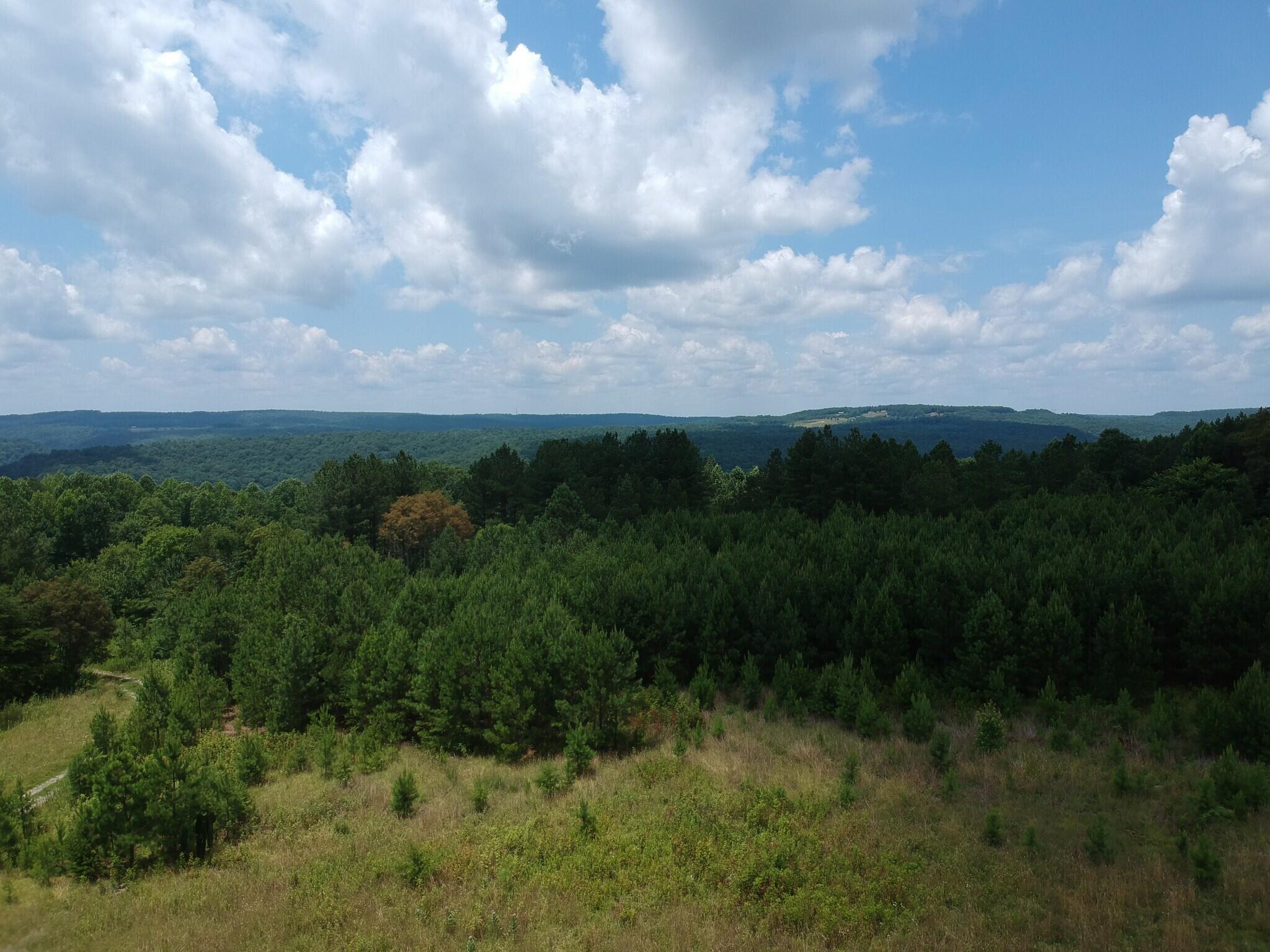 5199 Burkett Chapel Road, Whitwell, Tennessee image 13
