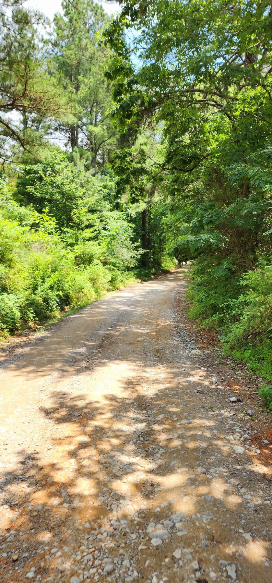 5199 Burkett Chapel Road, Whitwell, Tennessee image 37