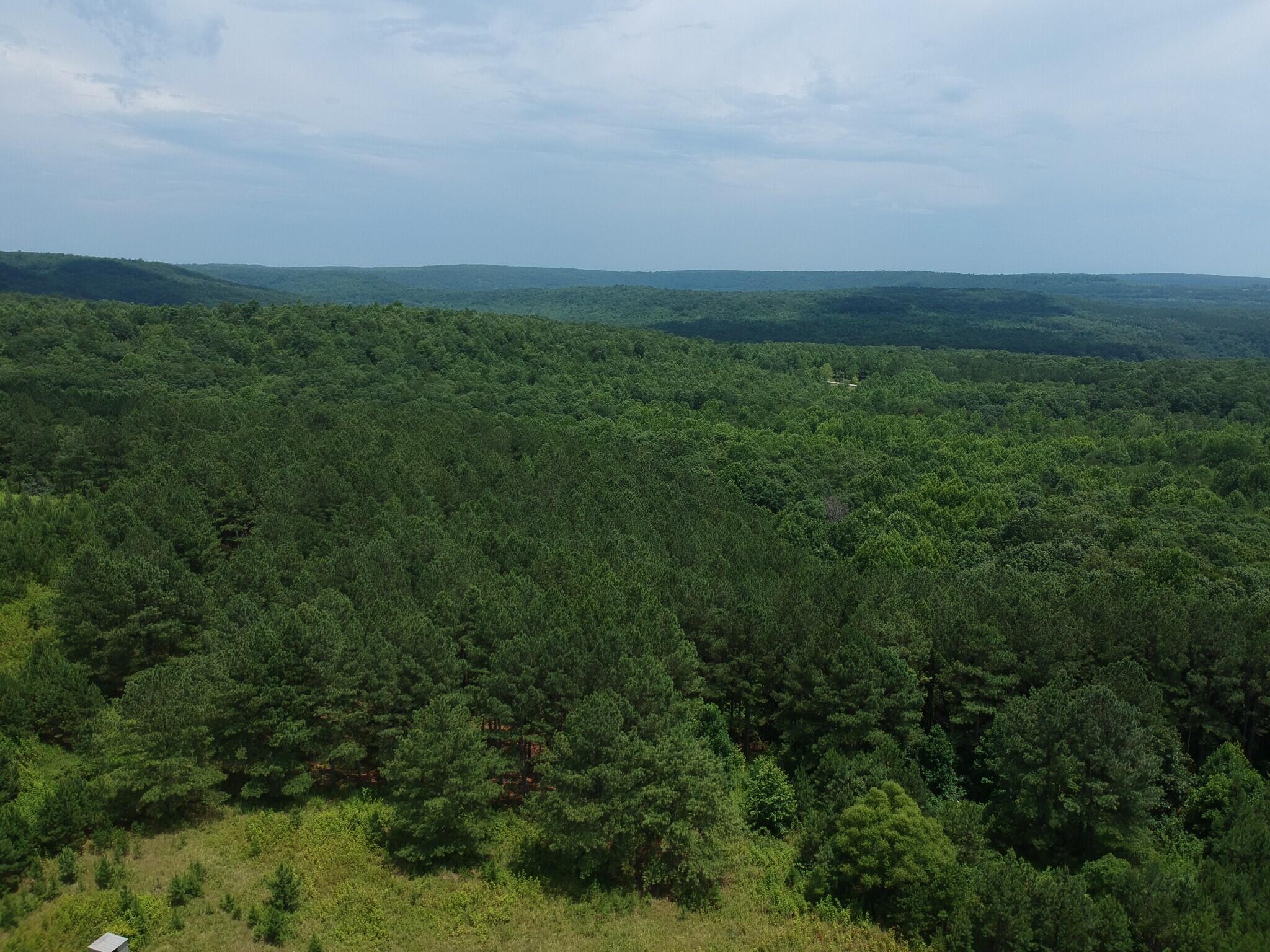 5199 Burkett Chapel Road, Whitwell, Tennessee image 24