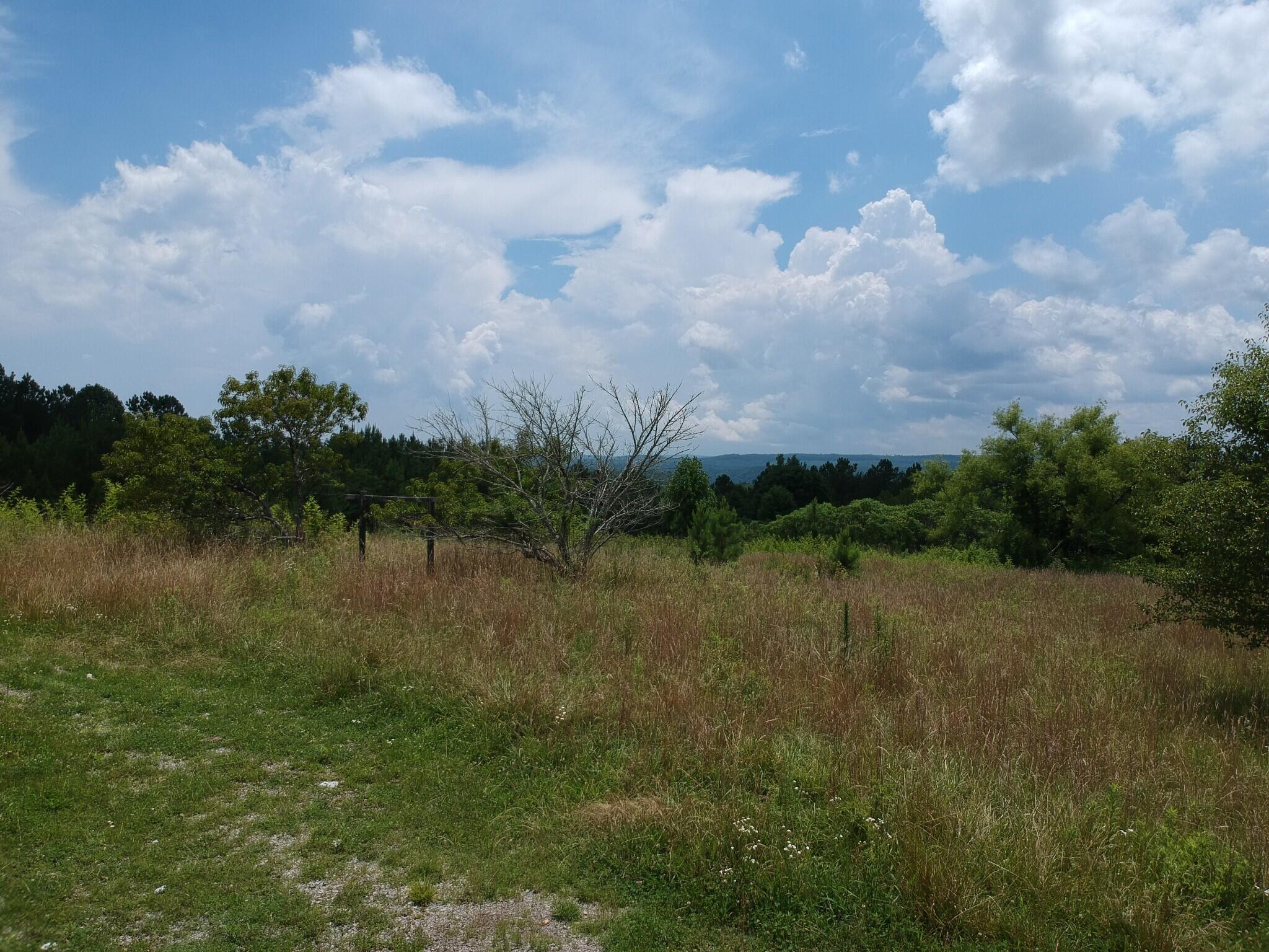 5199 Burkett Chapel Road, Whitwell, Tennessee image 25