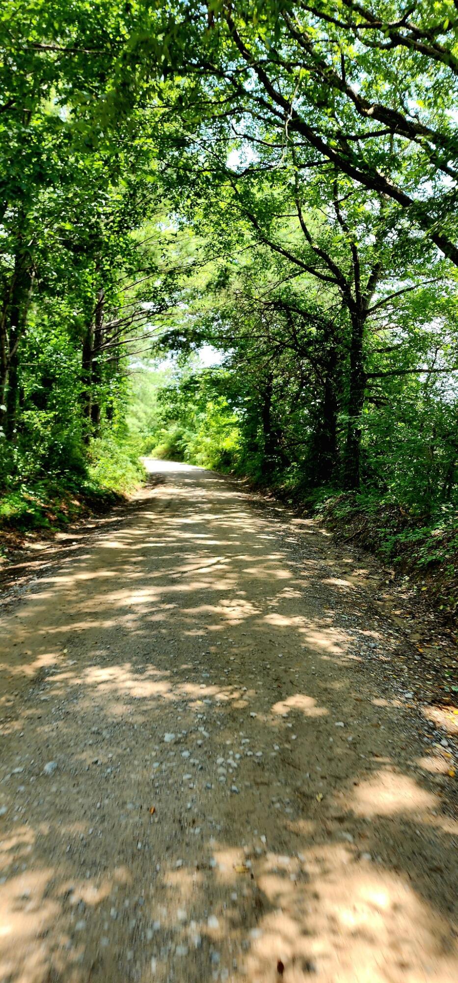 5199 Burkett Chapel Road, Whitwell, Tennessee image 38
