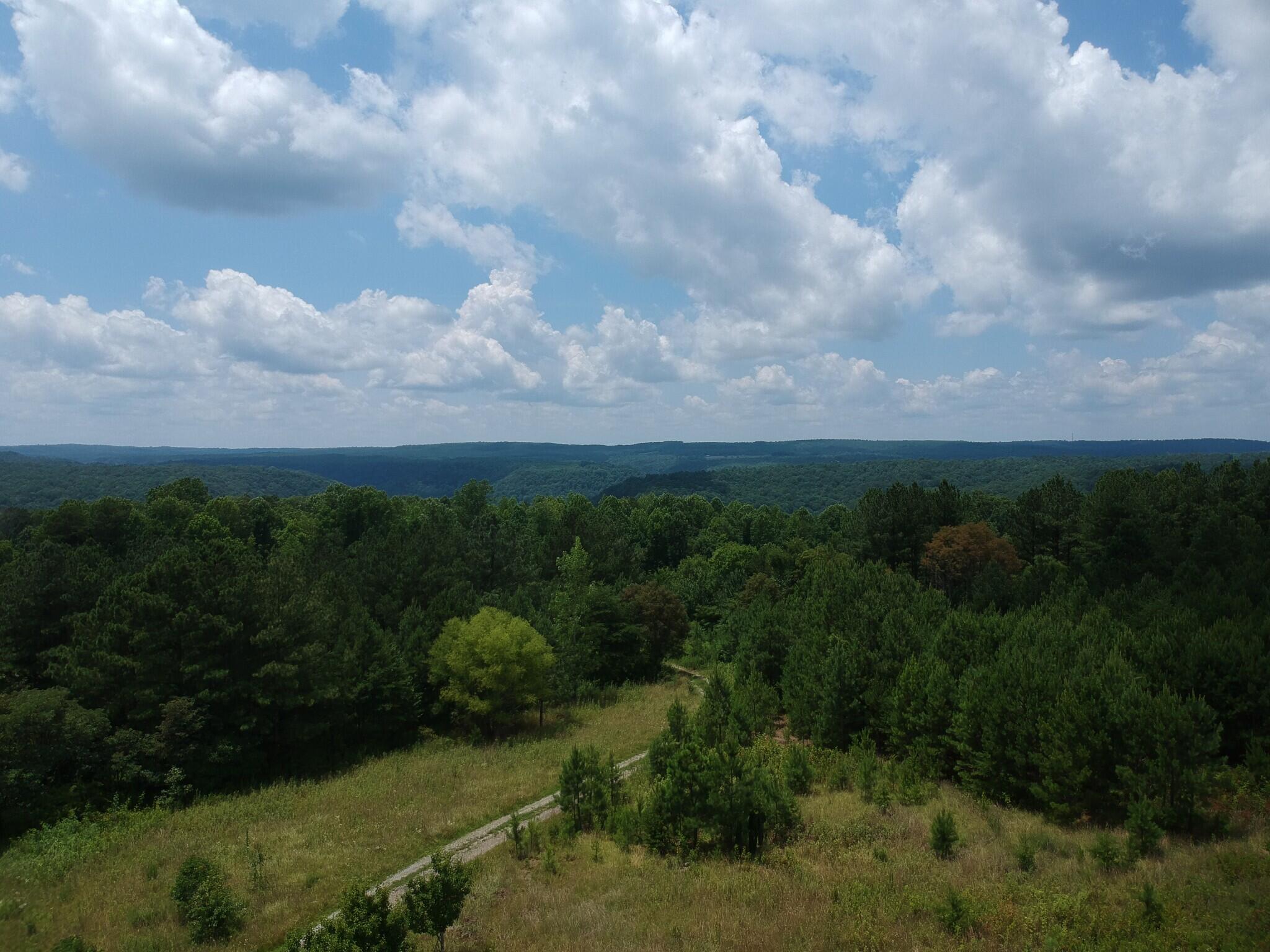 5199 Burkett Chapel Road, Whitwell, Tennessee image 14