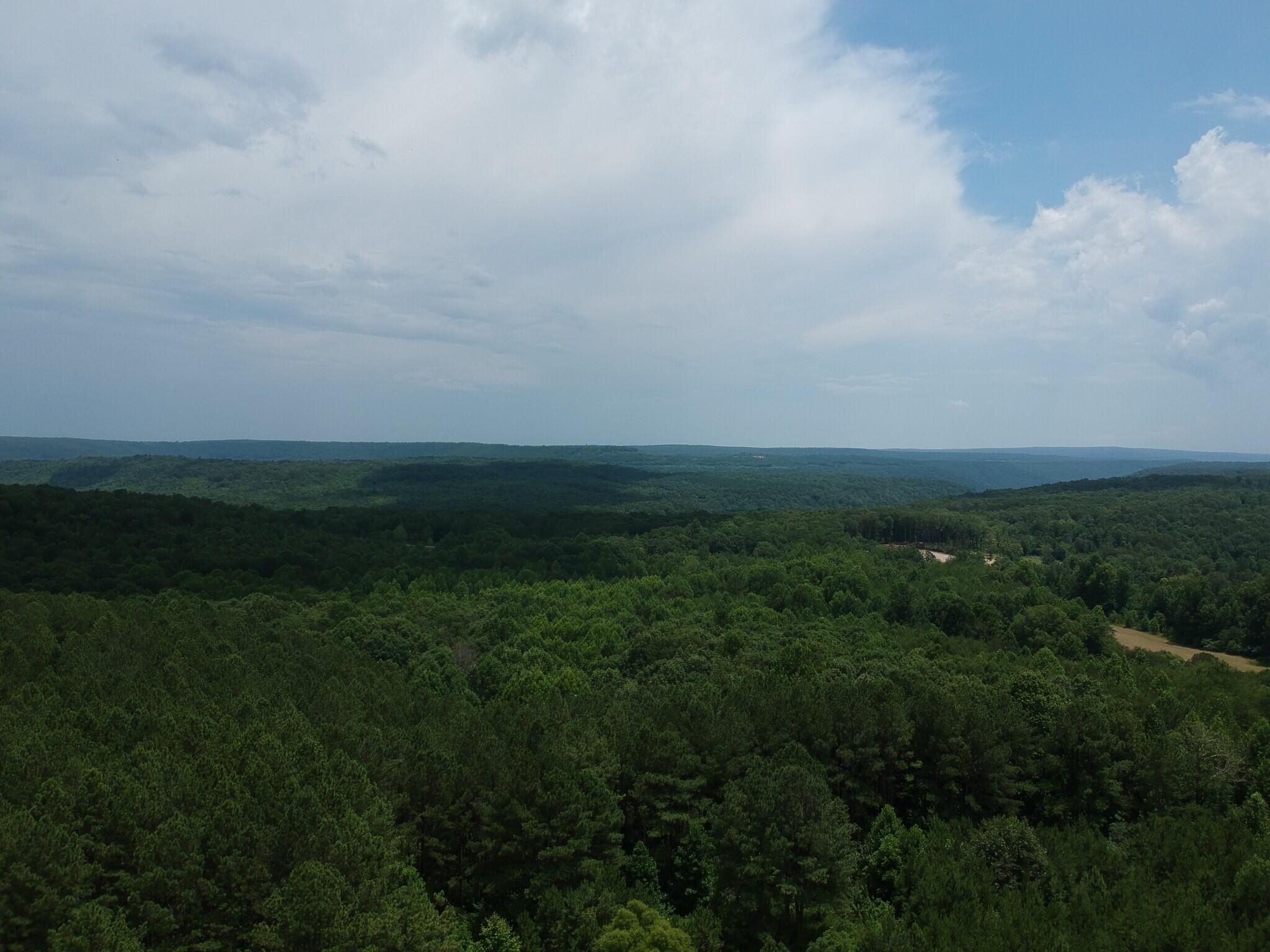 5199 Burkett Chapel Road, Whitwell, Tennessee image 17