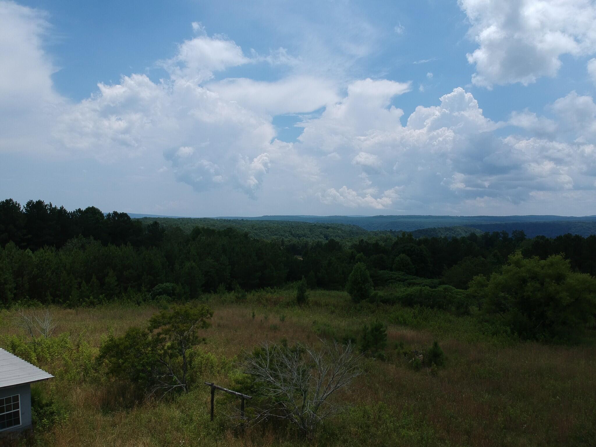 5199 Burkett Chapel Road, Whitwell, Tennessee image 6