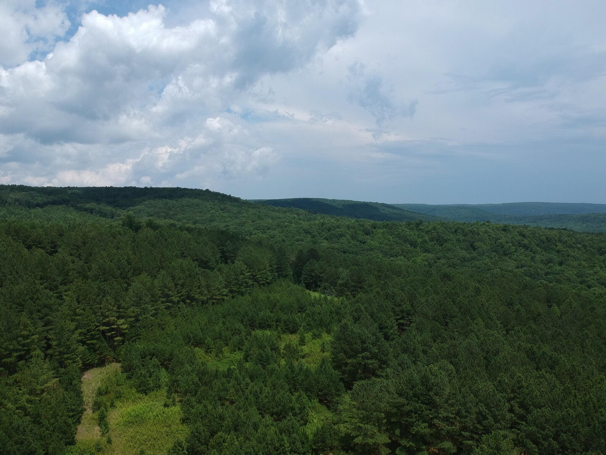 5199 Burkett Chapel Road, Whitwell, Tennessee image 23