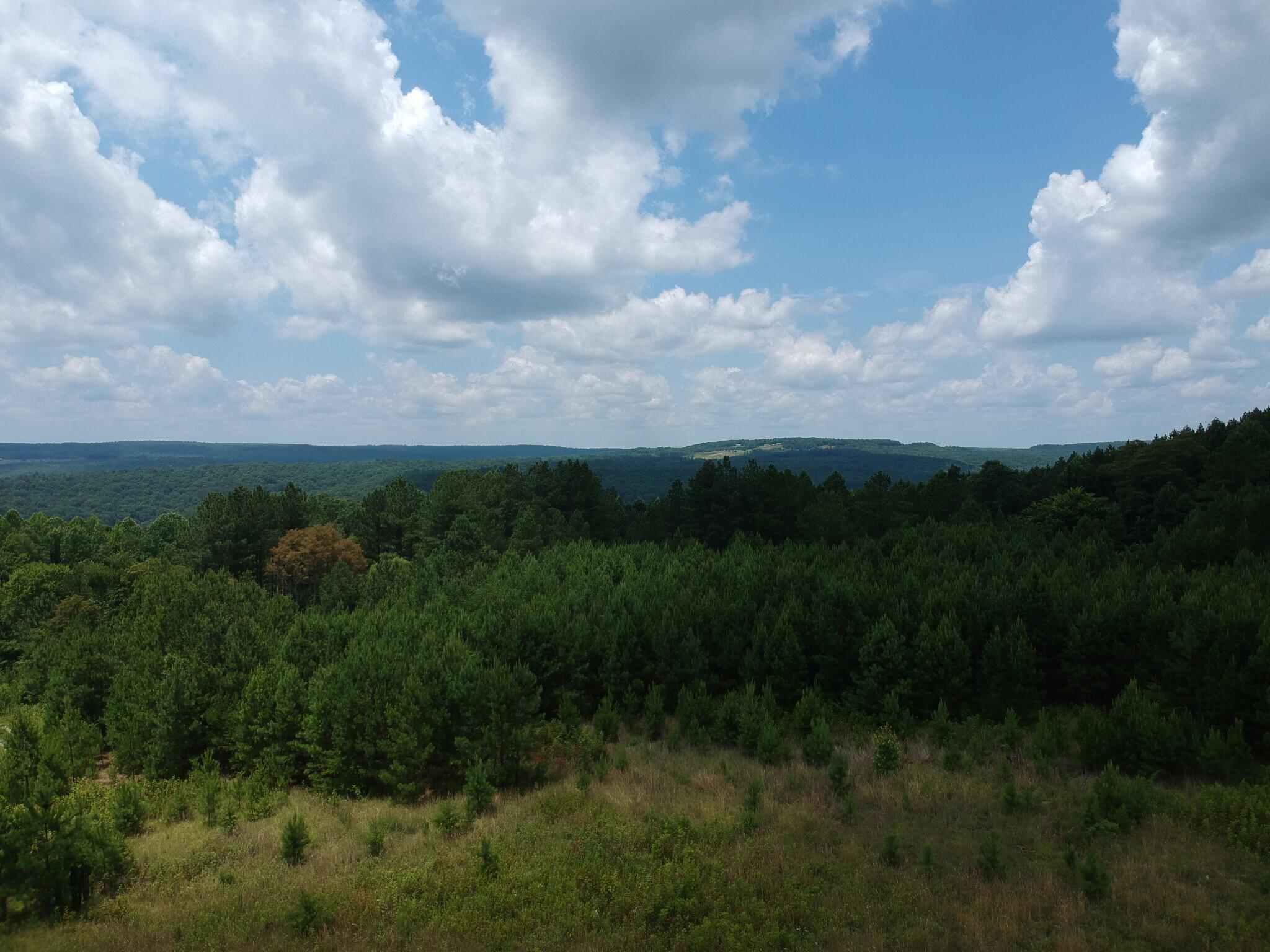 5199 Burkett Chapel Road, Whitwell, Tennessee image 10