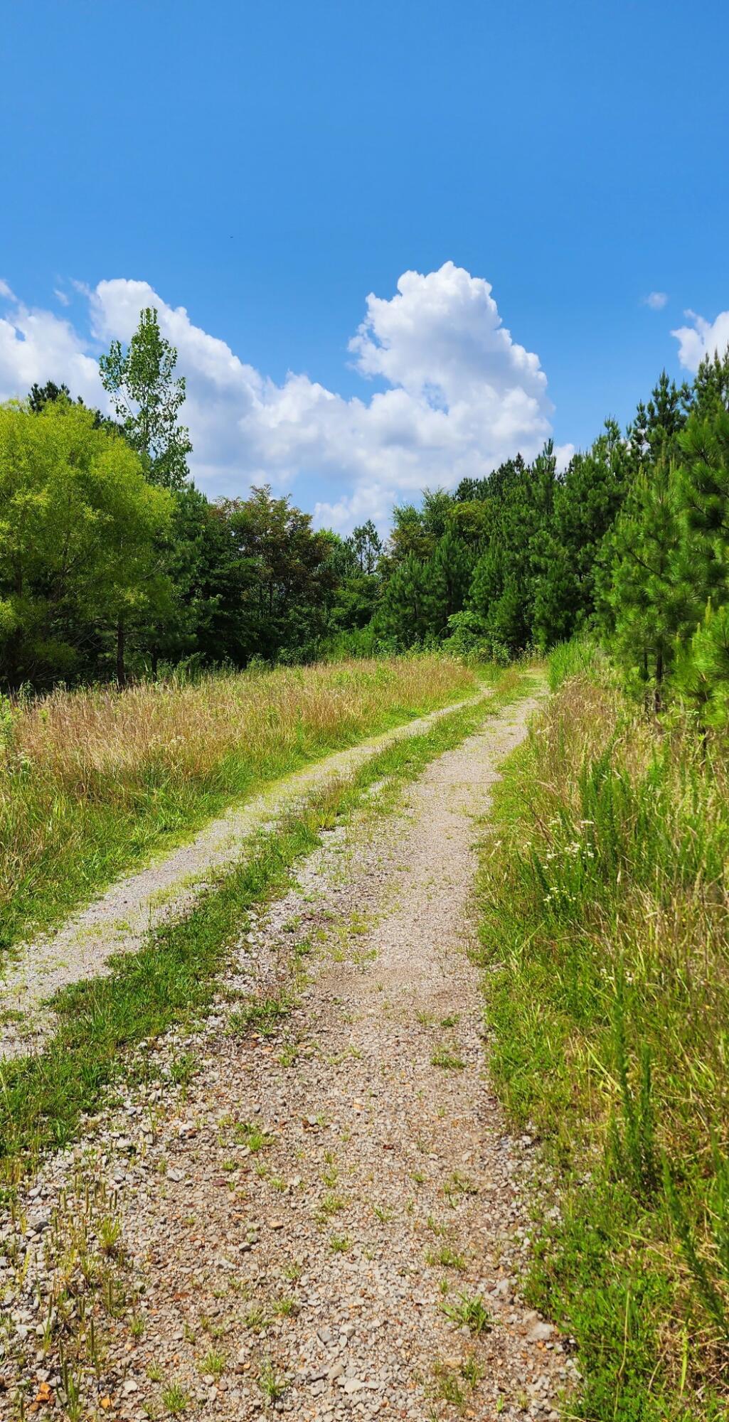 5199 Burkett Chapel Road, Whitwell, Tennessee image 35