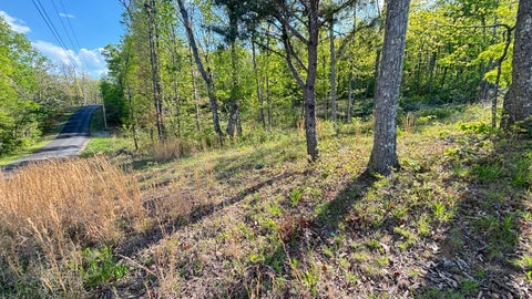 Vacant Land For Sale - 669 Shadowland Drive<br/> Graysville, TN 37338