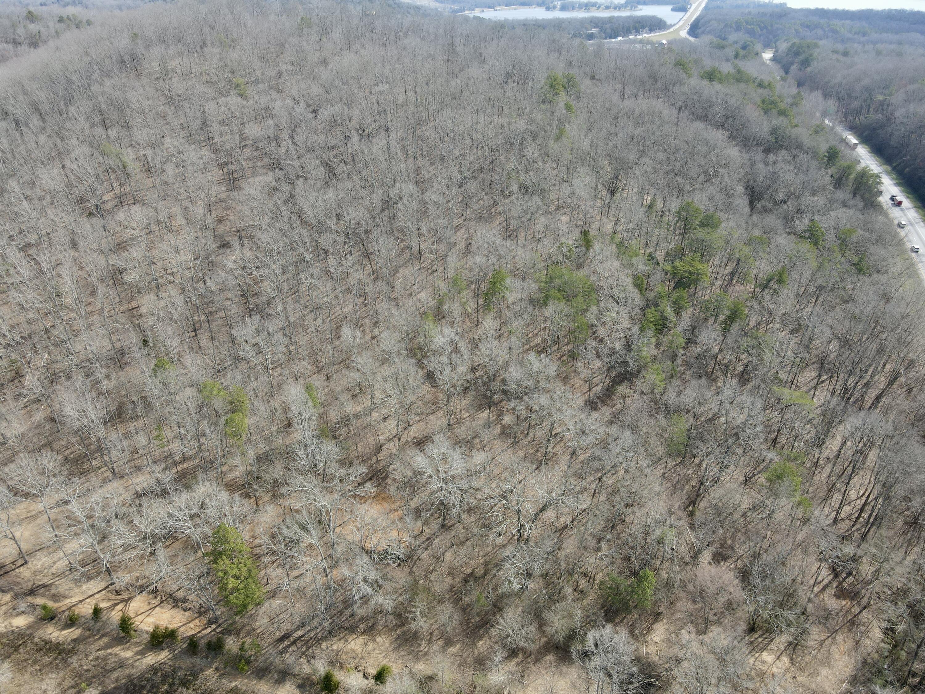 8 Acres Hass Road, Jasper, Tennessee image 23