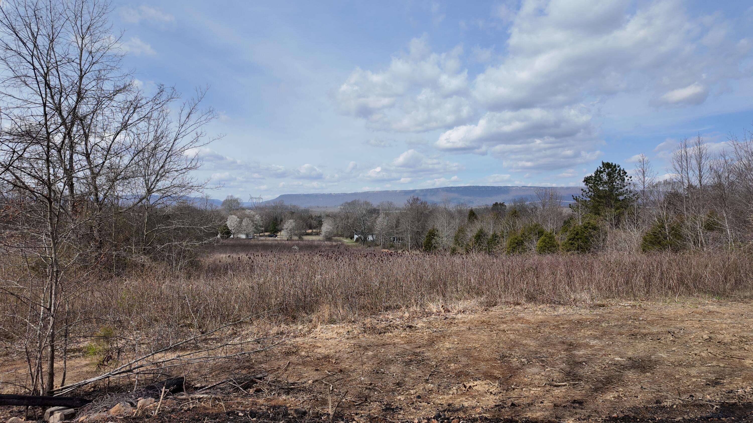 8 Acres Hass Road, Jasper, Tennessee image 35