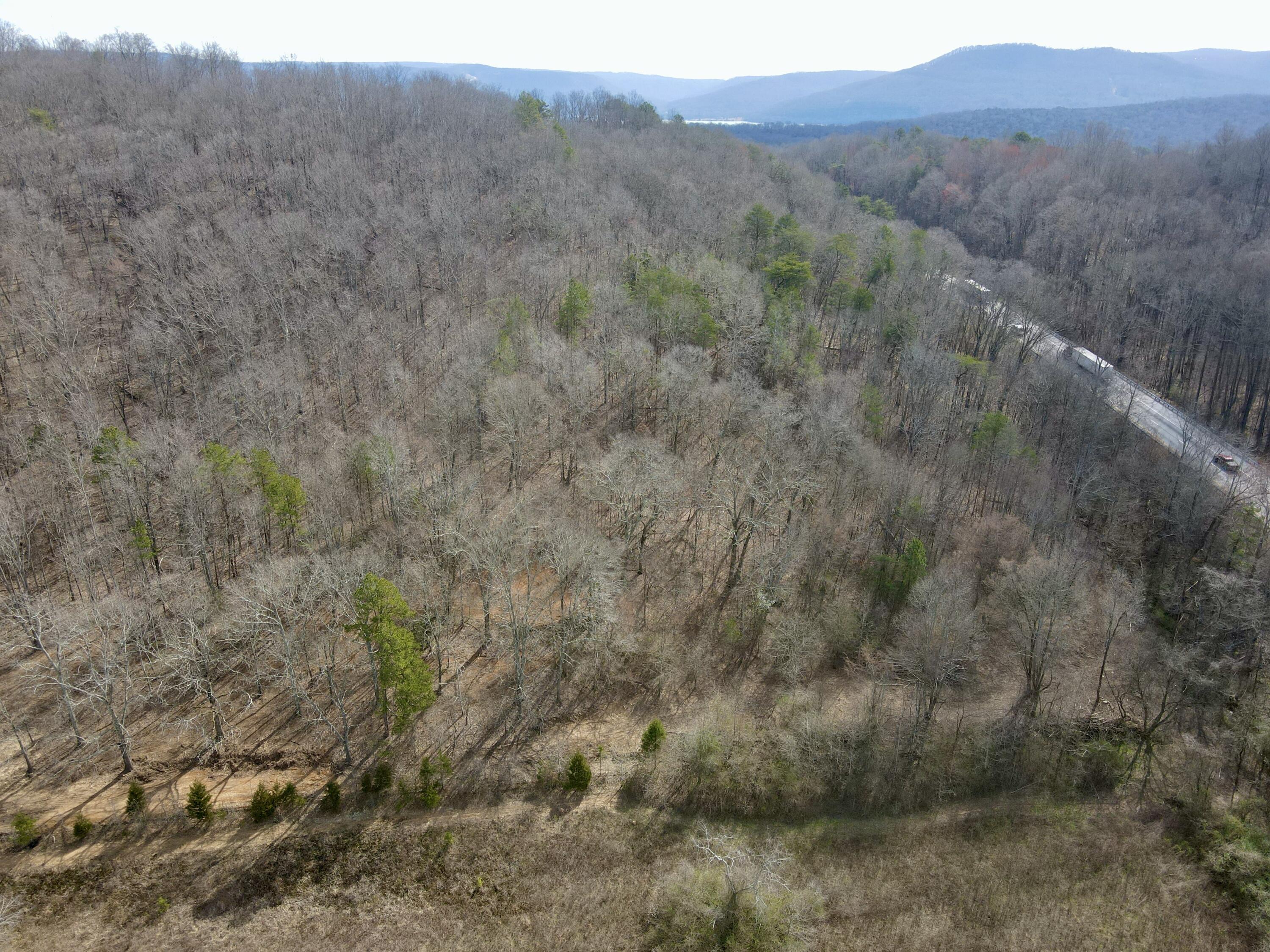 8 Acres Hass Road, Jasper, Tennessee image 20