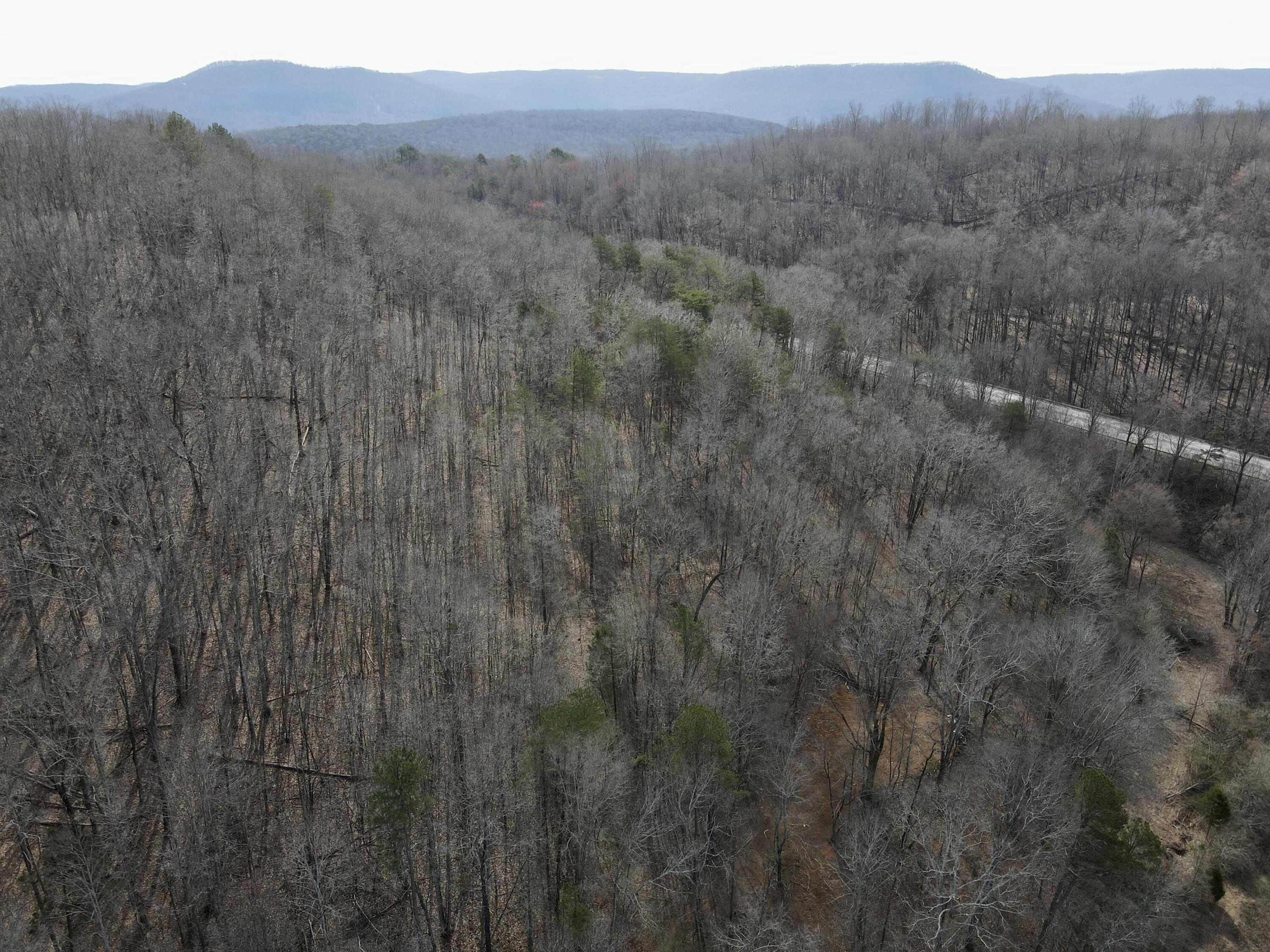 8 Acres Hass Road, Jasper, Tennessee image 26