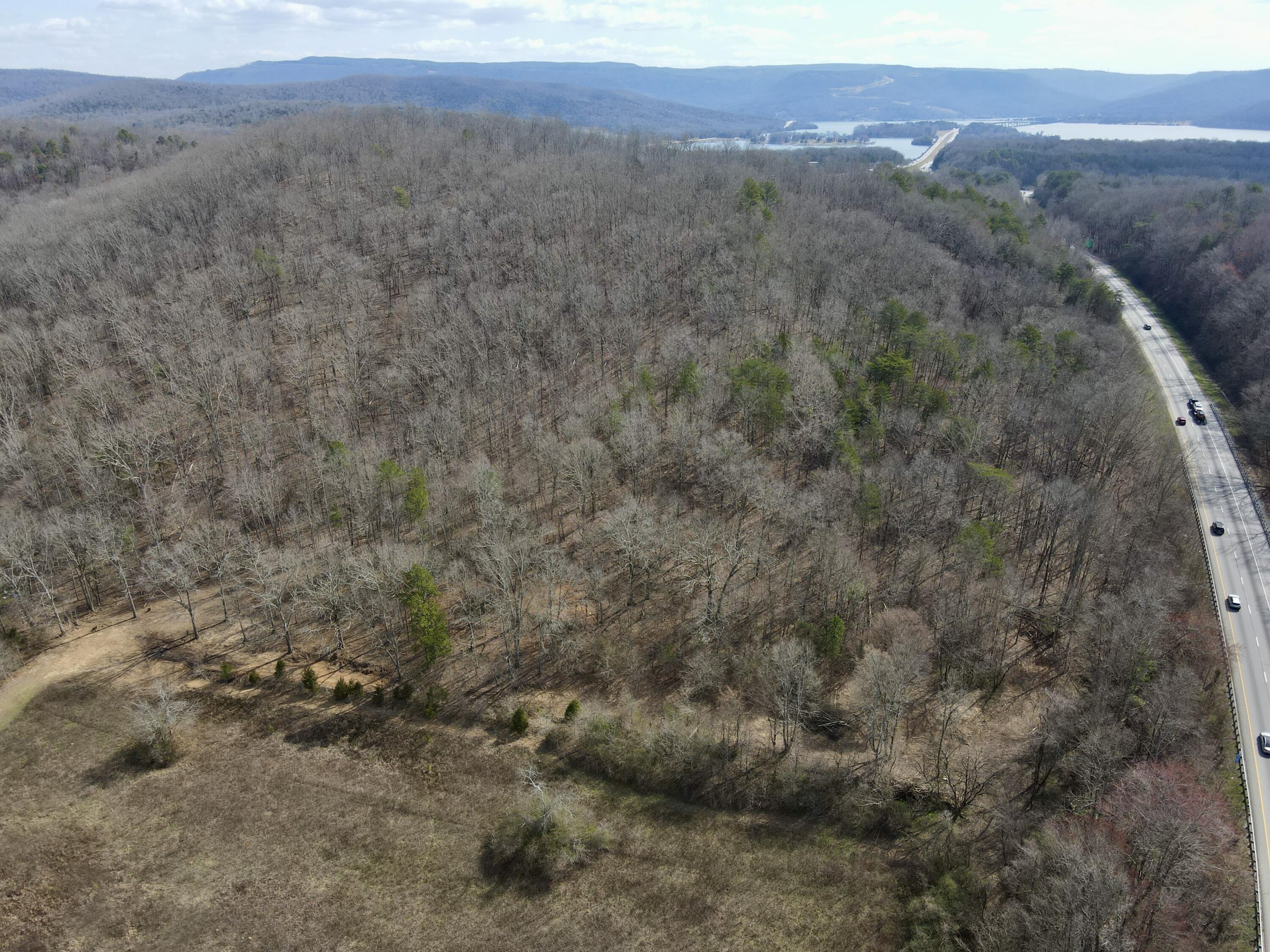 8 Acres Hass Road, Jasper, Tennessee image 22