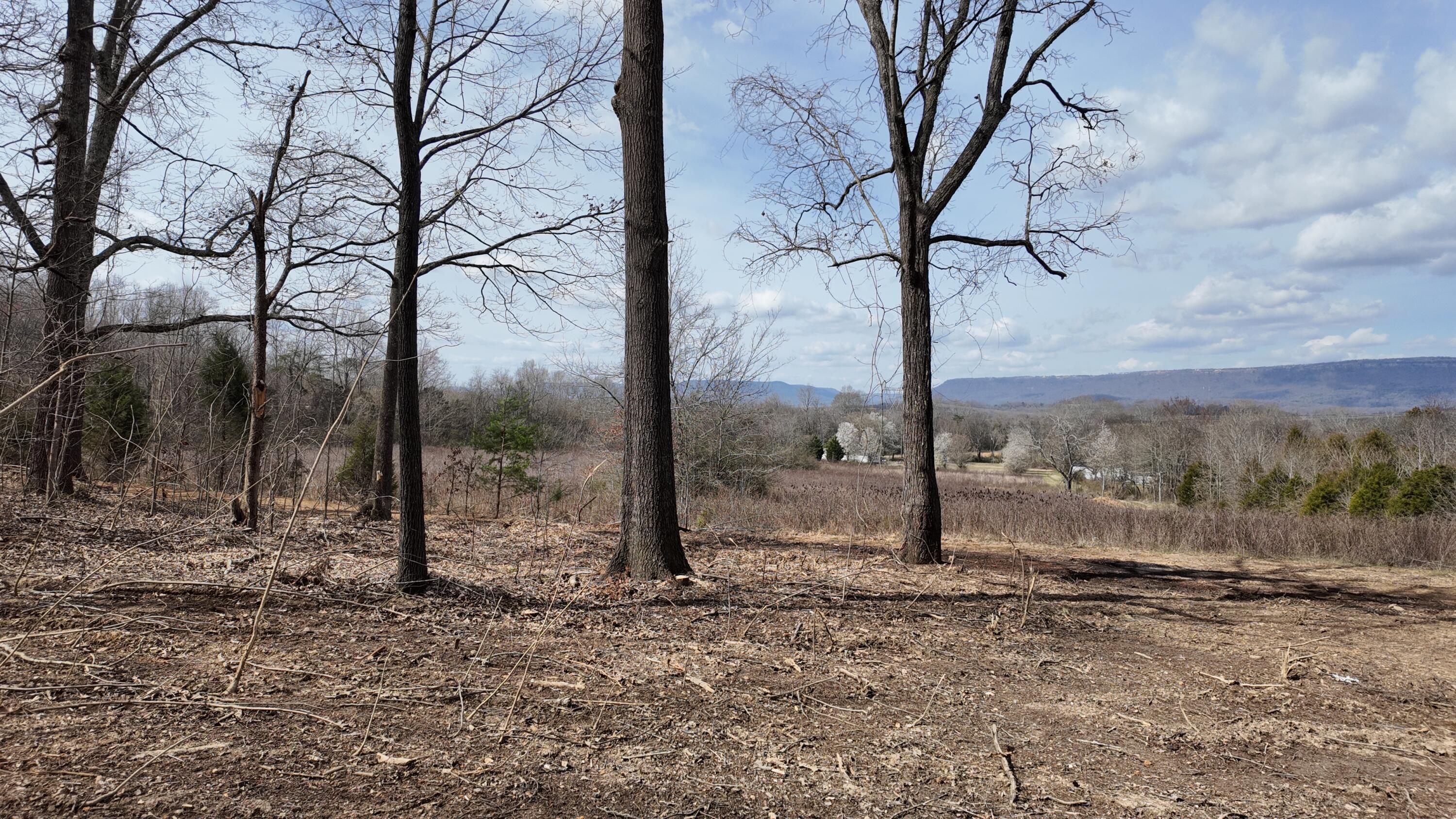 8 Acres Hass Road, Jasper, Tennessee image 8