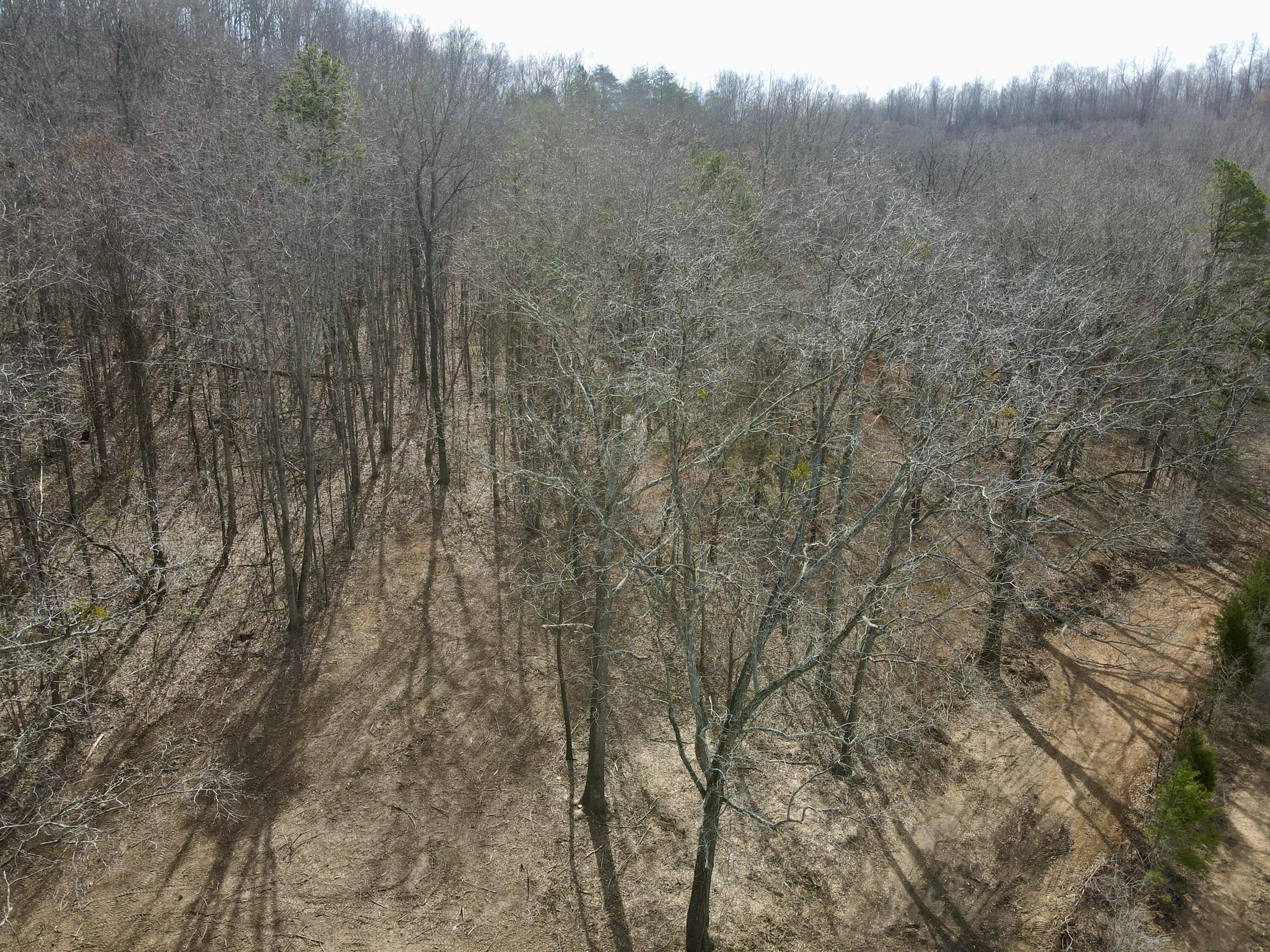 8 Acres Hass Road, Jasper, Tennessee image 27