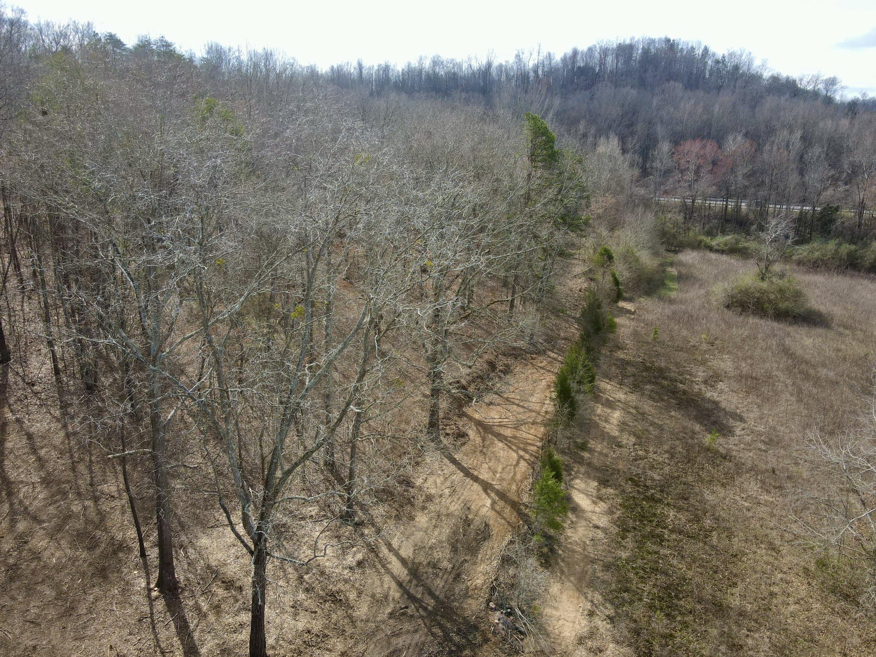 8 Acres Hass Road, Jasper, Tennessee image 29