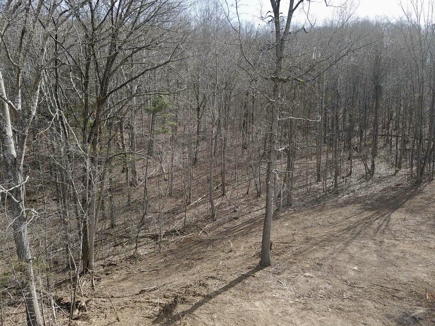 8 Acres Hass Road, Jasper, Tennessee image 14