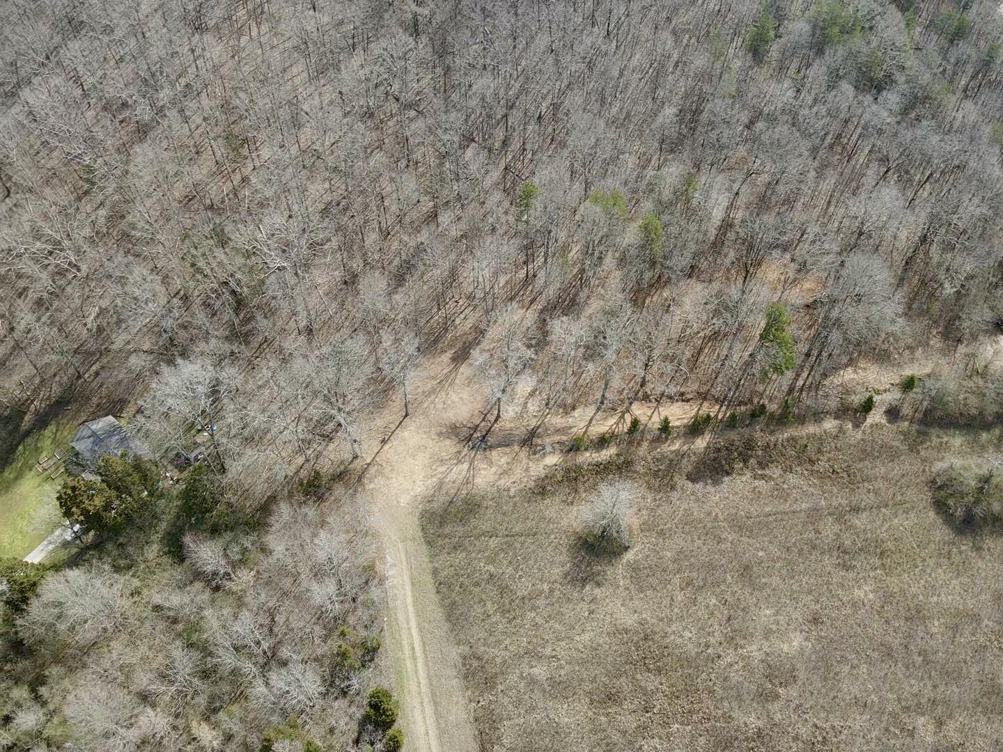 8 Acres Hass Road, Jasper, Tennessee image 15